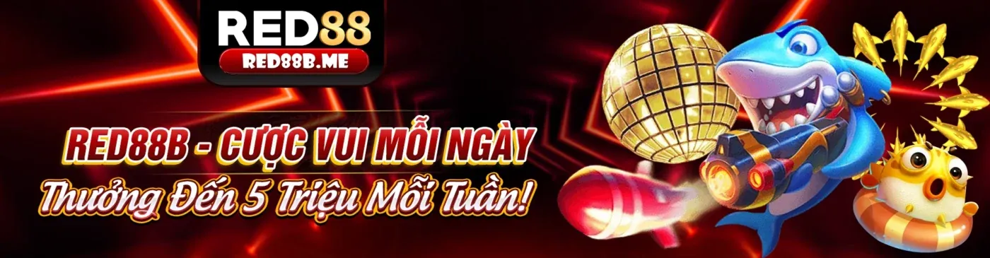 Tổng quan cá cược thể thao 678bet